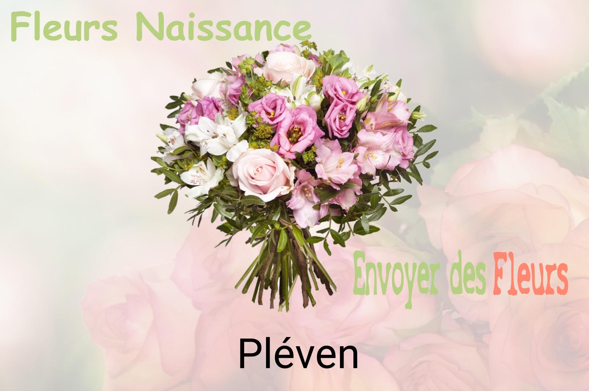Bouquet de fleurs de naissance livré à Pléven